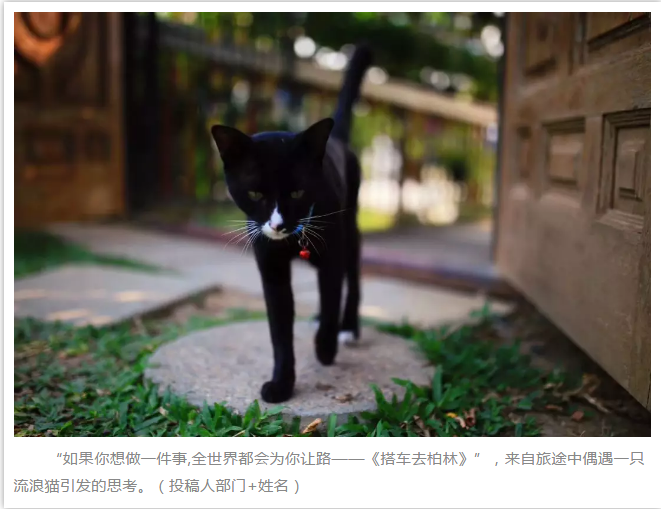 尊龙集团 (中国区)官方网站