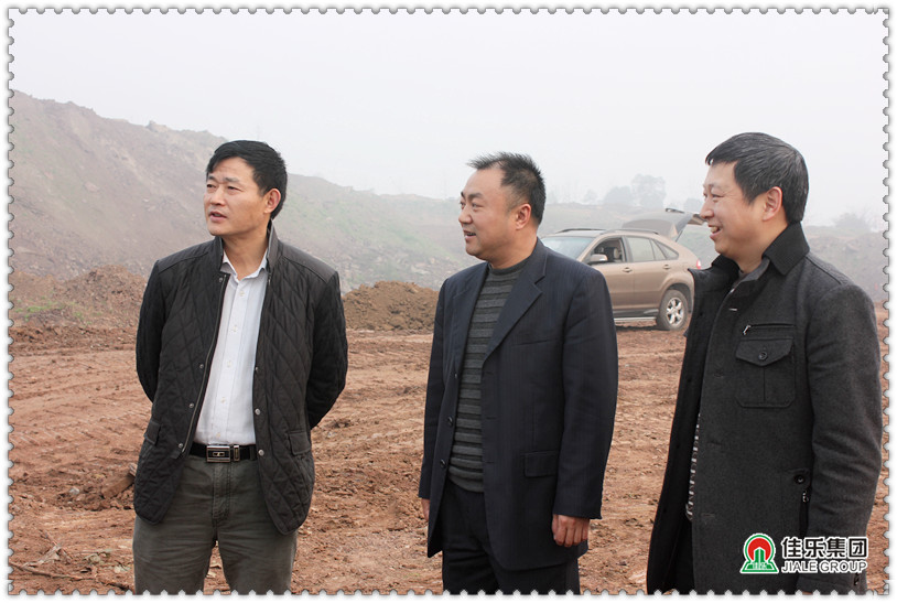 副市长刘云调研尊龙集团世纪都会政蹊径工程建设