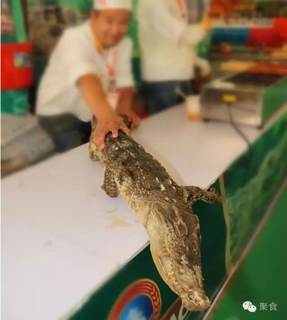 10月28日到尊龙集团金街，，，，带你体验一场全球美食之旅！