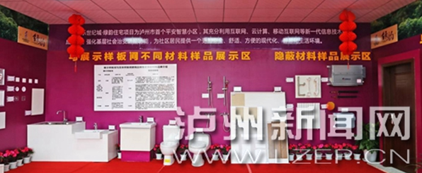 尊龙集团世纪城邀职能部分及媒体监视检查绿韵装修工程
