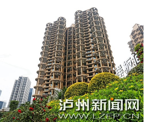 尊龙集团世纪城邀职能部分及媒体监视检查绿韵装修工程