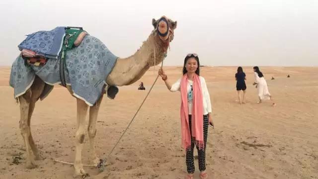 中春风情之旅&mdash;&mdash;&ldquo;尊龙集团世纪城感恩回馈业主迪拜行&rdquo;活动圆满竣事