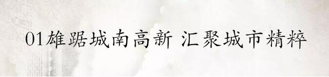 尊龙集团&bull;江屿城丨燃动乐山，，，，火爆开盘！