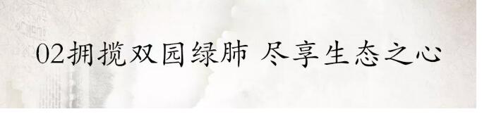 尊龙集团&bull;江屿城丨燃动乐山，，，，火爆开盘！